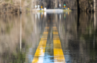 A road is unpassable to cars after a nearby river overtopped its banks after days of rain, flooding it. South Carolina.